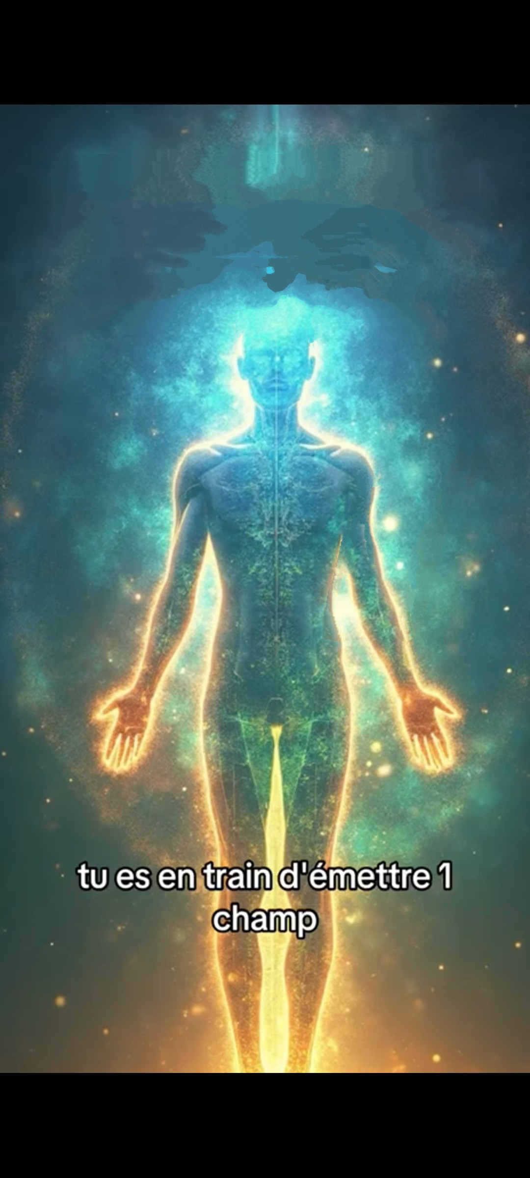 Champs magnétiques et vibrations