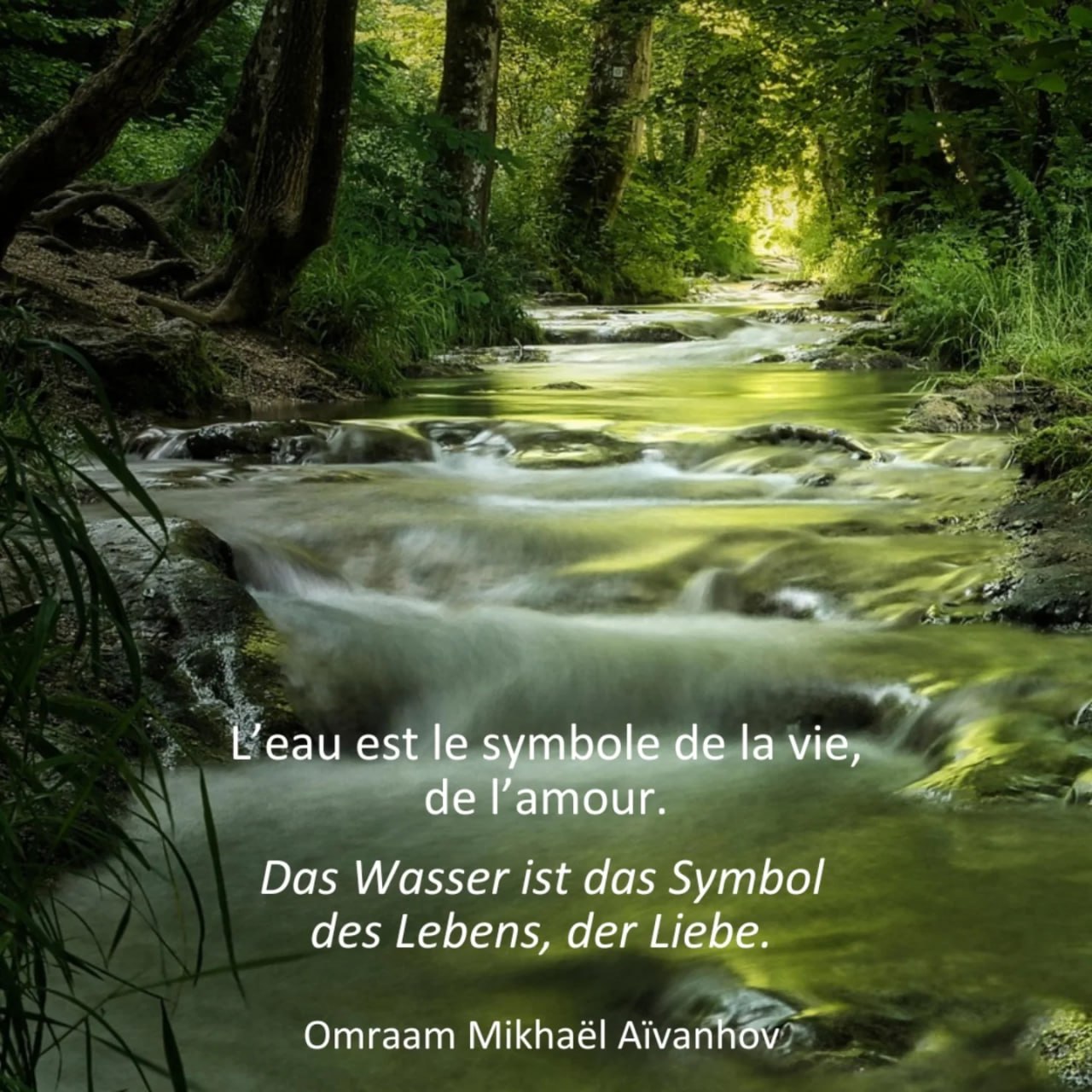 Sans émotion et sans pensées, nous ne pourrions interagir, rien expériementer...