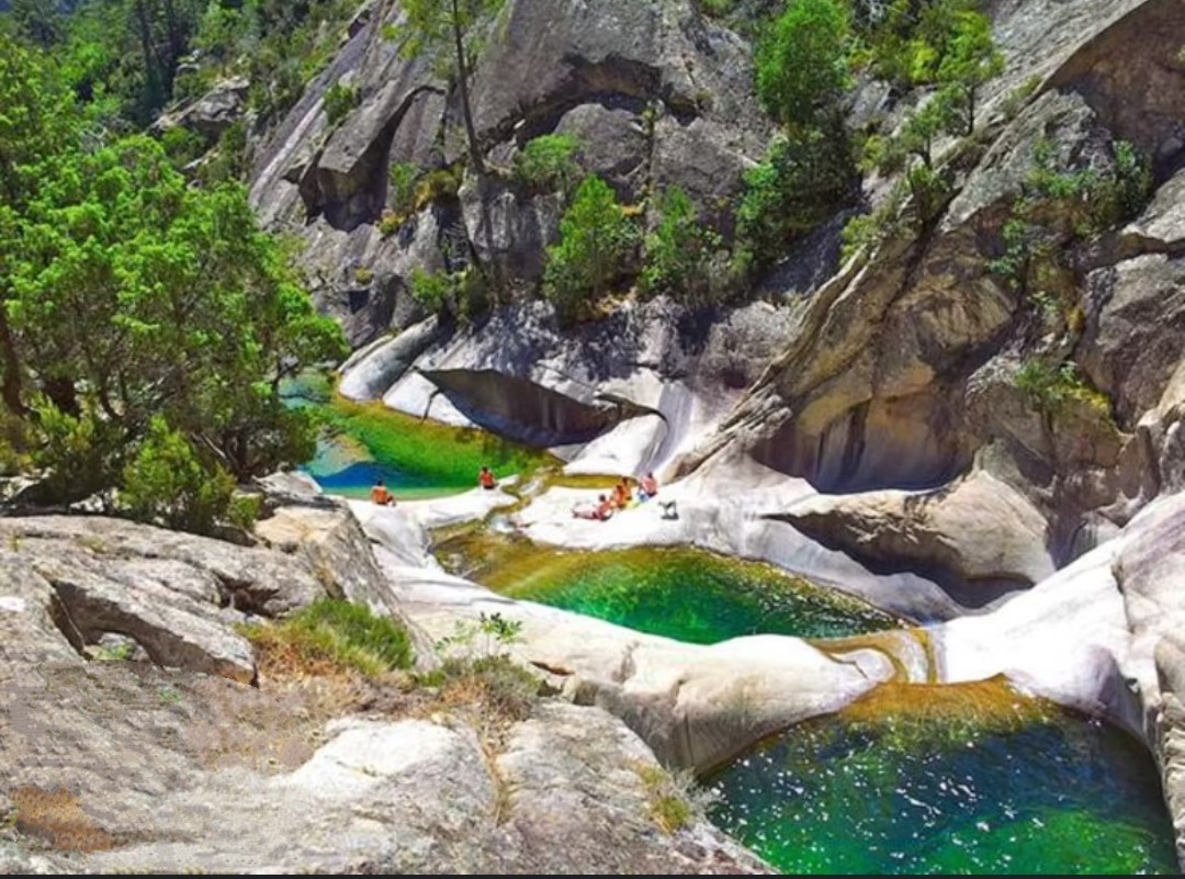 Agir avec le flux naturel des choses, vivre dans la non résistance