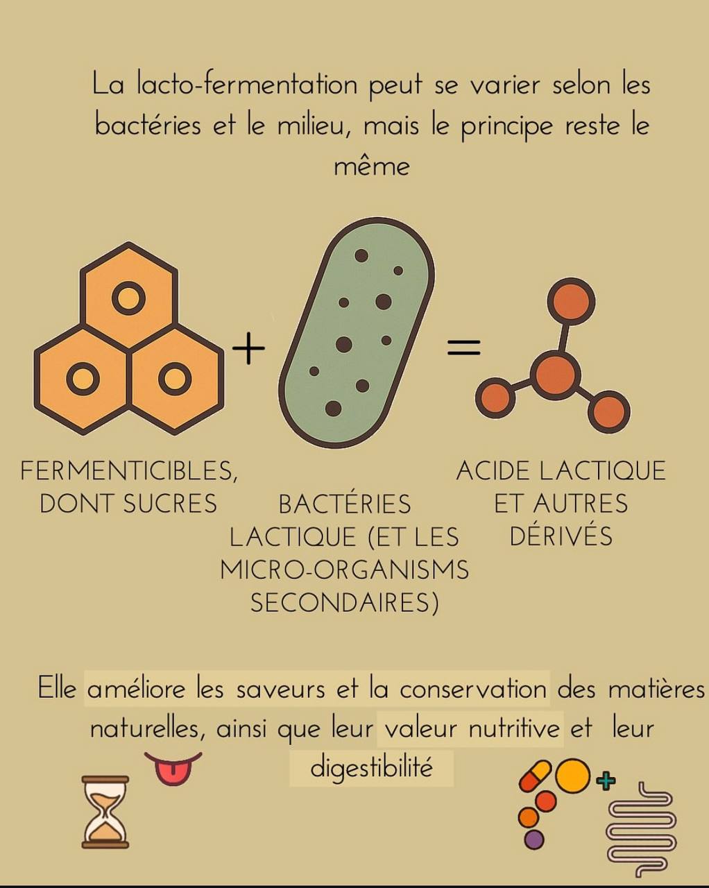 La lacto-fermentation, un art discret